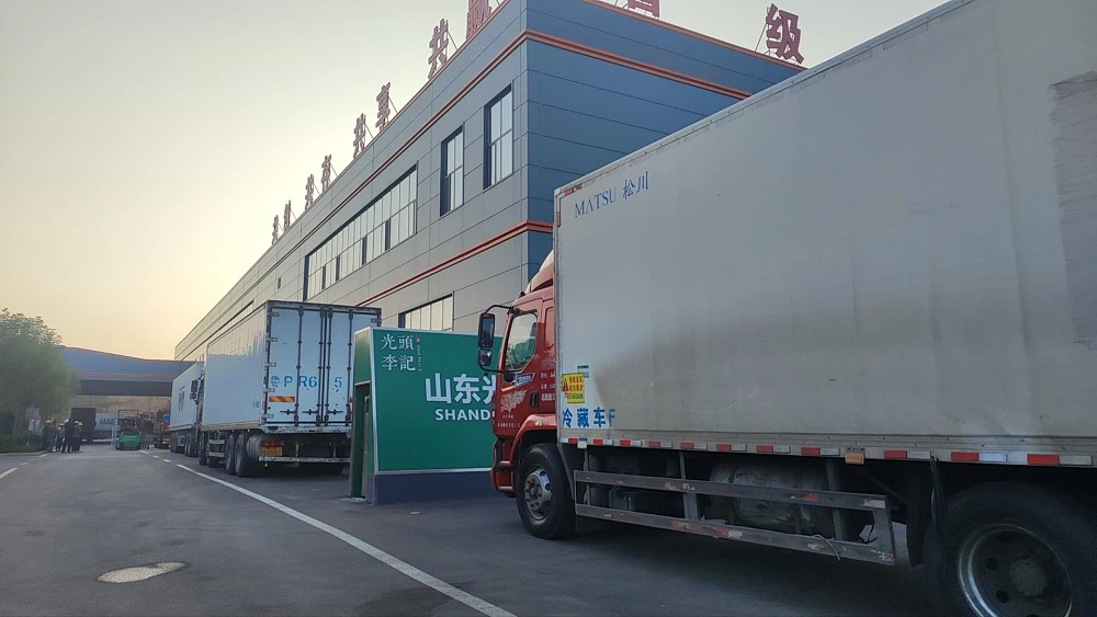 202310231016242 202310231016242